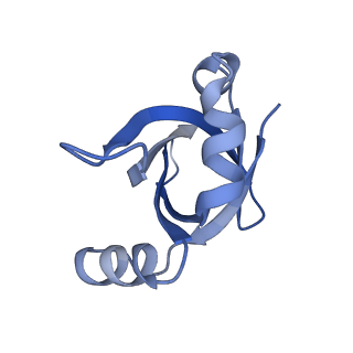 3493_5mdz_V_v1-3
Structure of the 70S ribosome (empty A site)