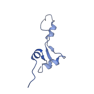 3493_5mdz_e_v1-3
Structure of the 70S ribosome (empty A site)