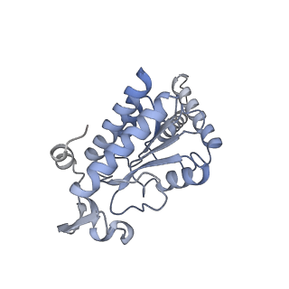 3493_5mdz_g_v1-3
Structure of the 70S ribosome (empty A site)