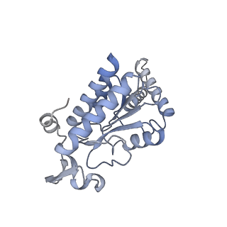 3493_5mdz_g_v2-2
Structure of the 70S ribosome (empty A site)