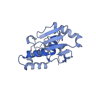 3493_5mdz_i_v1-3
Structure of the 70S ribosome (empty A site)