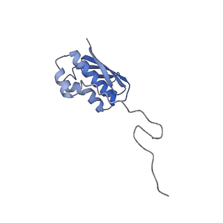 3493_5mdz_n_v1-3
Structure of the 70S ribosome (empty A site)
