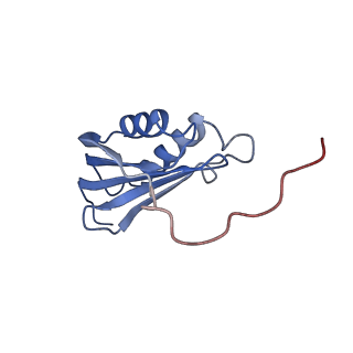 3493_5mdz_p_v1-3
Structure of the 70S ribosome (empty A site)