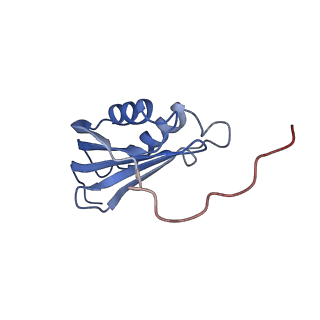 3493_5mdz_p_v2-2
Structure of the 70S ribosome (empty A site)