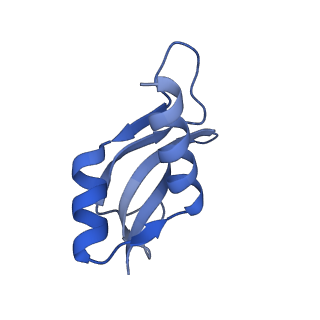 3493_5mdz_u_v1-3
Structure of the 70S ribosome (empty A site)