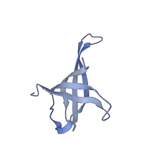 3493_5mdz_v_v2-2
Structure of the 70S ribosome (empty A site)