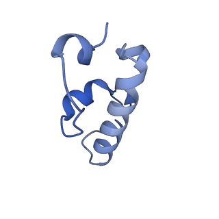 3493_5mdz_w_v1-3
Structure of the 70S ribosome (empty A site)