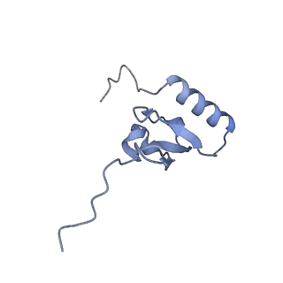 3493_5mdz_x_v1-3
Structure of the 70S ribosome (empty A site)