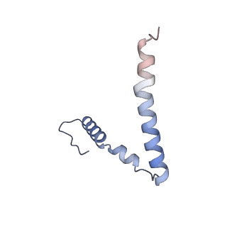 3493_5mdz_z_v1-3
Structure of the 70S ribosome (empty A site)
