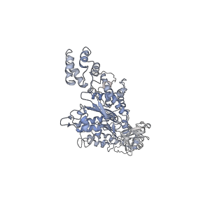 9100_6mdm_C_v1-3
The 20S supercomplex engaging the SNAP-25 N-terminus (class 1)