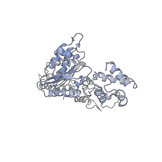 9101_6mdn_F_v1-3
The 20S supercomplex engaging the SNAP-25 N-terminus (class 2)