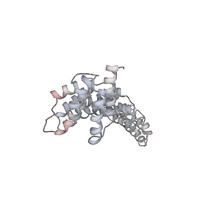 9101_6mdn_K_v1-3
The 20S supercomplex engaging the SNAP-25 N-terminus (class 2)