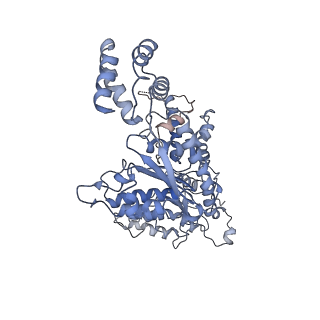 9102_6mdo_D_v1-3
The D1 and D2 domain rings of NSF engaging the SNAP-25 N-terminus within the 20S supercomplex (focused refinement on D1/D2 rings, class 1)