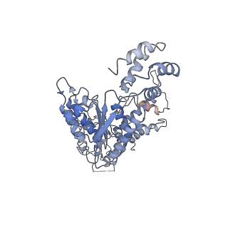 9102_6mdo_E_v1-3
The D1 and D2 domain rings of NSF engaging the SNAP-25 N-terminus within the 20S supercomplex (focused refinement on D1/D2 rings, class 1)