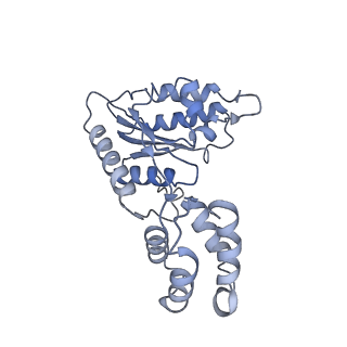 9103_6mdp_F_v1-3
The D1 and D2 domain rings of NSF engaging the SNAP-25 N-terminus within the 20S supercomplex (focused refinement on D1/D2 rings, class 2)