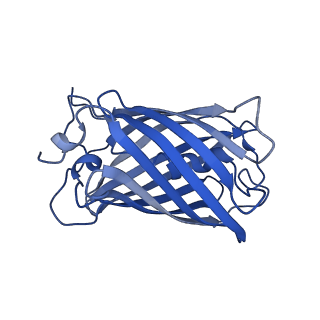 9104_6mdr_a_v1-4
Cryo-EM structure of the Ceru+32/GFP-17 protomer