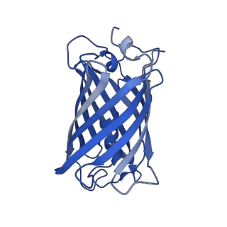 9104_6mdr_c_v1-4
Cryo-EM structure of the Ceru+32/GFP-17 protomer