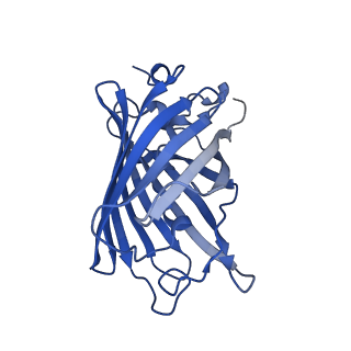 9104_6mdr_d_v1-3
Cryo-EM structure of the Ceru+32/GFP-17 protomer