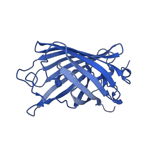 9104_6mdr_f_v1-4
Cryo-EM structure of the Ceru+32/GFP-17 protomer