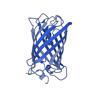 9104_6mdr_g_v1-4
Cryo-EM structure of the Ceru+32/GFP-17 protomer