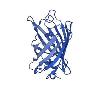 9104_6mdr_h_v1-3
Cryo-EM structure of the Ceru+32/GFP-17 protomer