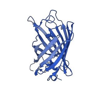 9104_6mdr_h_v1-4
Cryo-EM structure of the Ceru+32/GFP-17 protomer