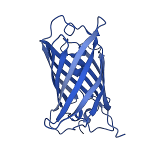 9104_6mdr_i_v1-4
Cryo-EM structure of the Ceru+32/GFP-17 protomer