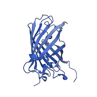9104_6mdr_j_v1-3
Cryo-EM structure of the Ceru+32/GFP-17 protomer