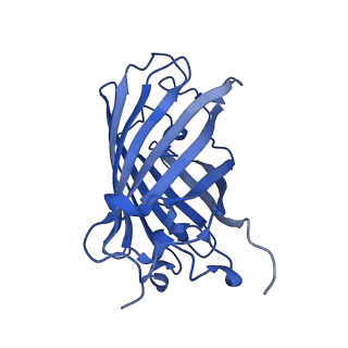 9104_6mdr_j_v1-4
Cryo-EM structure of the Ceru+32/GFP-17 protomer