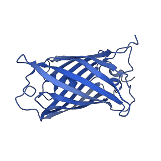 9104_6mdr_k_v1-4
Cryo-EM structure of the Ceru+32/GFP-17 protomer