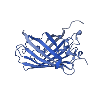 9104_6mdr_l_v1-3
Cryo-EM structure of the Ceru+32/GFP-17 protomer