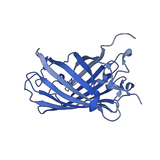 9104_6mdr_l_v1-4
Cryo-EM structure of the Ceru+32/GFP-17 protomer