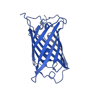 9104_6mdr_m_v1-4
Cryo-EM structure of the Ceru+32/GFP-17 protomer