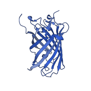 9104_6mdr_n_v1-3
Cryo-EM structure of the Ceru+32/GFP-17 protomer