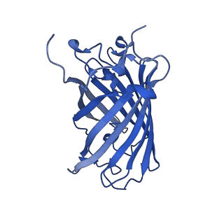 9104_6mdr_n_v1-4
Cryo-EM structure of the Ceru+32/GFP-17 protomer