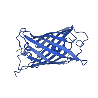 9104_6mdr_o_v1-3
Cryo-EM structure of the Ceru+32/GFP-17 protomer