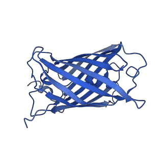 9104_6mdr_o_v1-4
Cryo-EM structure of the Ceru+32/GFP-17 protomer