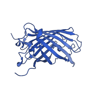 9104_6mdr_p_v1-3
Cryo-EM structure of the Ceru+32/GFP-17 protomer