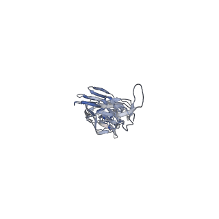 23792_7mem_C_v1-0
CryoEM structure of monoclonal Fab 045-09 2B05 binding the lateral patch of influenza virus H1 HA