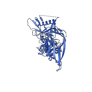 23801_7mep_A_v1-1
BG505 SOSIP.v5.2(7S) in complex with the monoclonal antibodies Rh.33172 mAb.1 and RM19R