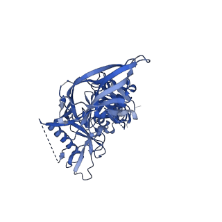 23801_7mep_D_v1-1
BG505 SOSIP.v5.2(7S) in complex with the monoclonal antibodies Rh.33172 mAb.1 and RM19R
