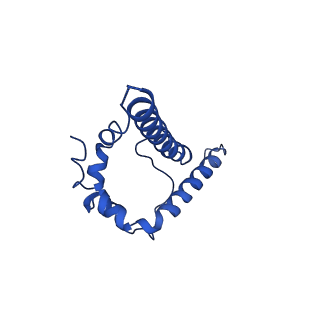 23801_7mep_F_v1-1
BG505 SOSIP.v5.2(7S) in complex with the monoclonal antibodies Rh.33172 mAb.1 and RM19R