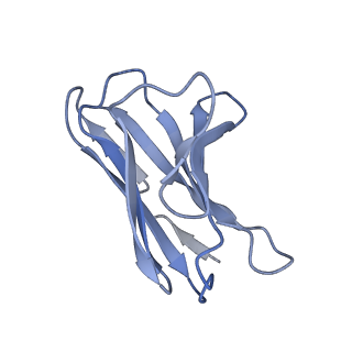 23801_7mep_G_v1-1
BG505 SOSIP.v5.2(7S) in complex with the monoclonal antibodies Rh.33172 mAb.1 and RM19R