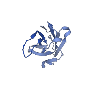 23801_7mep_I_v1-1
BG505 SOSIP.v5.2(7S) in complex with the monoclonal antibodies Rh.33172 mAb.1 and RM19R
