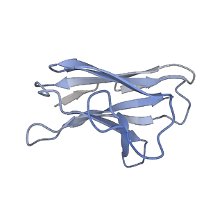 23801_7mep_J_v1-1
BG505 SOSIP.v5.2(7S) in complex with the monoclonal antibodies Rh.33172 mAb.1 and RM19R