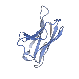 23801_7mep_K_v1-1
BG505 SOSIP.v5.2(7S) in complex with the monoclonal antibodies Rh.33172 mAb.1 and RM19R