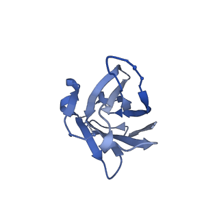 23801_7mep_M_v1-1
BG505 SOSIP.v5.2(7S) in complex with the monoclonal antibodies Rh.33172 mAb.1 and RM19R