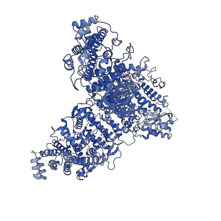 23806_7mex_A_v1-2
Structure of yeast Ubr1 in complex with Ubc2 and N-degron
