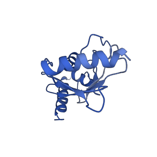 23806_7mex_B_v1-2
Structure of yeast Ubr1 in complex with Ubc2 and N-degron