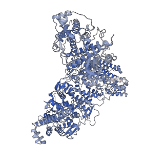 23807_7mey_A_v1-2
Structure of yeast Ubr1 in complex with Ubc2 and monoubiquitinated N-degron